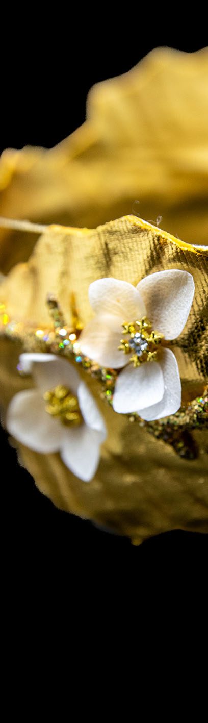 L'Atelier des Papillons - LA BOUTIQUE